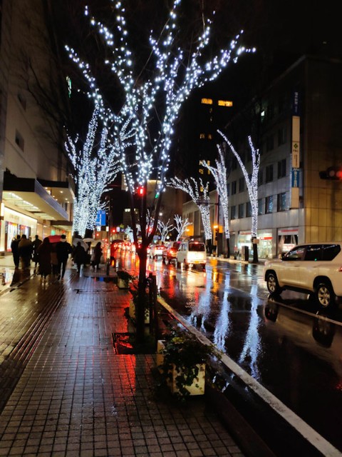 f:id:hitachibana:20201221173153j:image