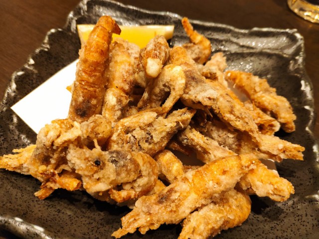 f:id:hitachibana:20201221173312j:image