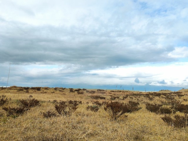 f:id:hitachibana:20201225221048j:image