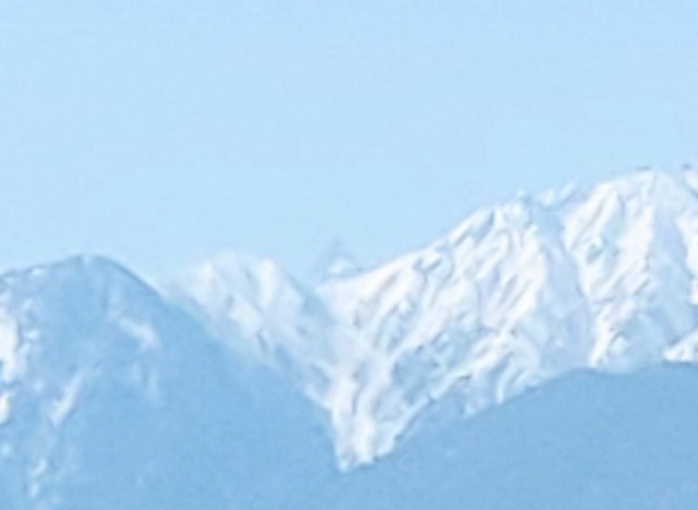 f:id:hitachibana:20210308001833j:image