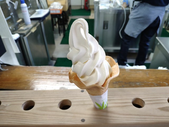 f:id:hitachibana:20210407083053j:image