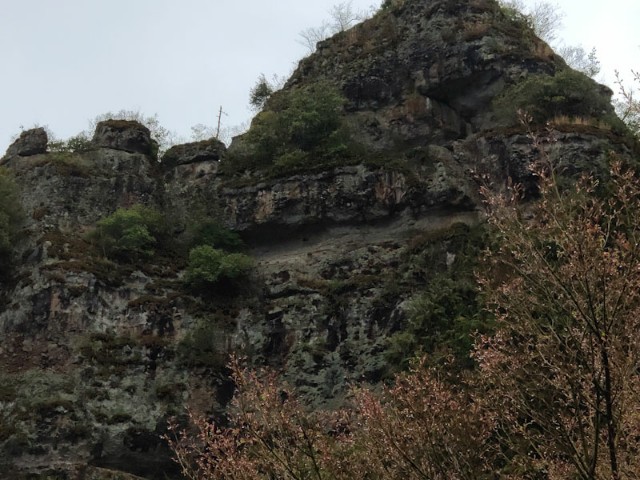 f:id:hitachibana:20210407215446j:image