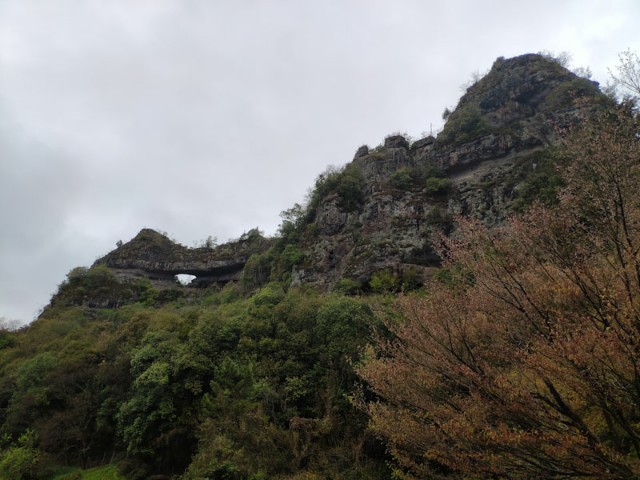 f:id:hitachibana:20210407215550j:image