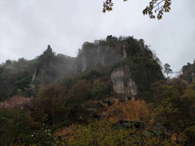f:id:hitachibana:20210408080126j:image