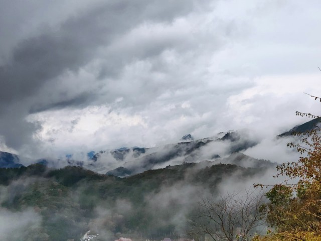 f:id:hitachibana:20210408080656j:image