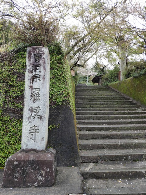 f:id:hitachibana:20210408080724j:image