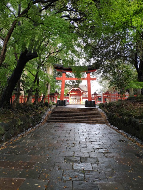 f:id:hitachibana:20210408082158j:image