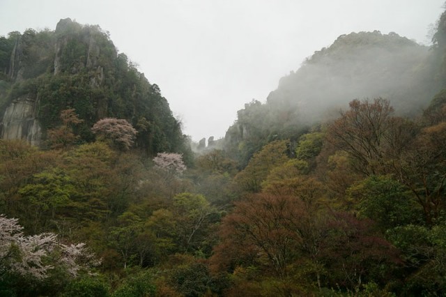 f:id:hitachibana:20210409110144j:image