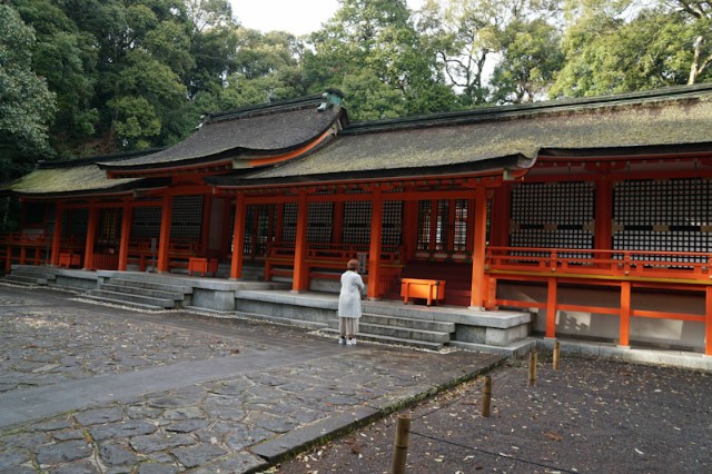 f:id:hitachibana:20210412002624j:image