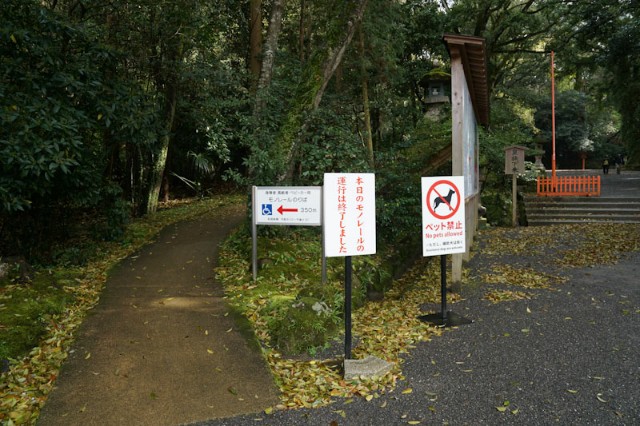 f:id:hitachibana:20210412002759j:image