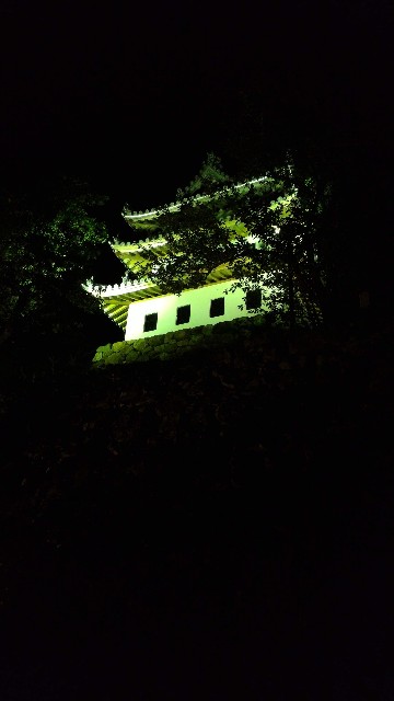 f:id:hitachibana:20210523025339j:image