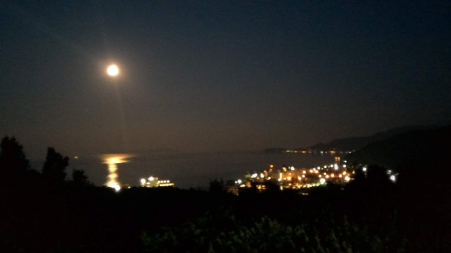 f:id:hitachibana:20210523025413j:image