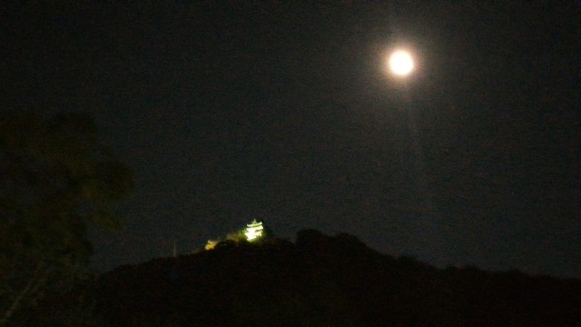f:id:hitachibana:20210523025427j:image