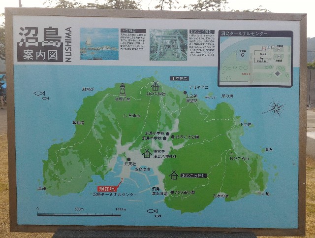 f:id:hitachibana:20210523025857j:image