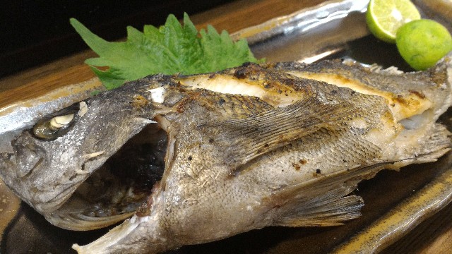 f:id:hitachibana:20210523030328j:image