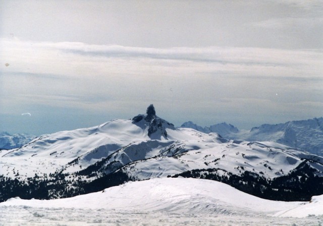 f:id:hitachibana:20210623163047j:image