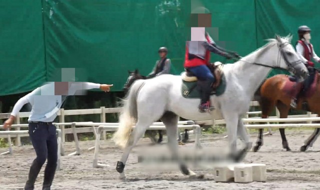 ラスース　「乗馬」夏 夏の乗馬 - すきーやの休日