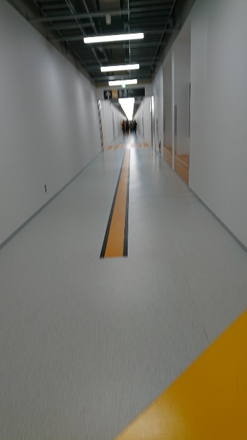 f:id:hitachibana:20210811081239j:image