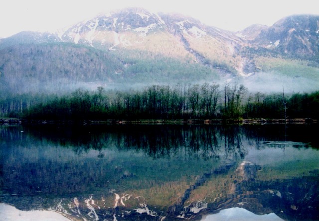 f:id:hitachibana:20211010135046j:image