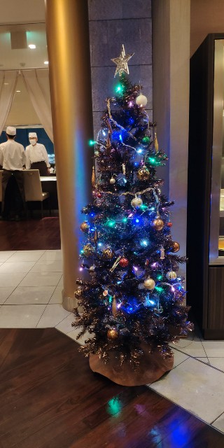 f:id:hitachibana:20211224213241j:image