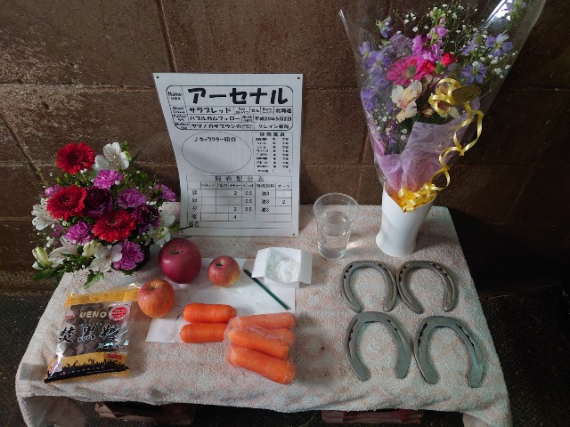 f:id:hitachibana:20220310234404j:image
