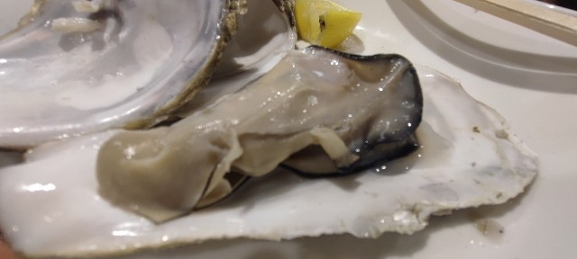 f:id:hitachibana:20220430220900j:image