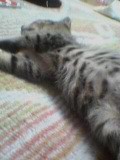 f:id:hitachibana:20220601005018j:image