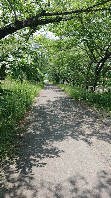 f:id:hitachibana:20220603003901j:image f:id:hitachibana:20220603003901j:image