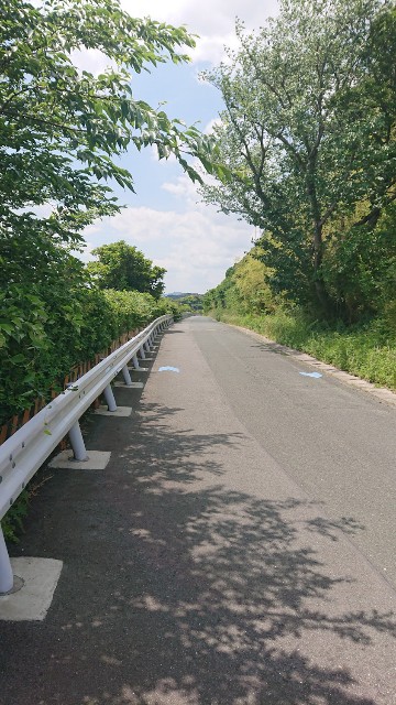 f:id:hitachibana:20220603004208j:image f:id:hitachibana:20220603004208j:image