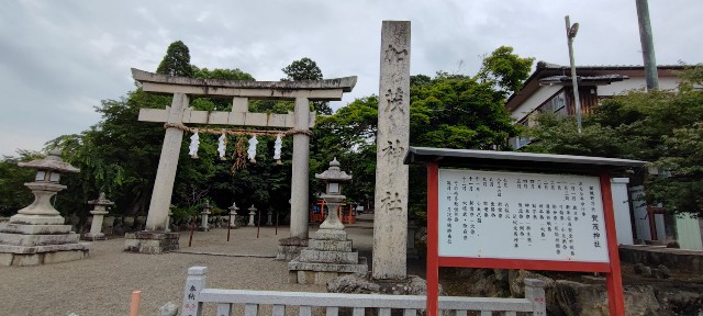 f:id:hitachibana:20220701020608j:image
