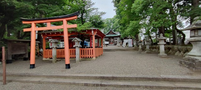 f:id:hitachibana:20220701020640j:image