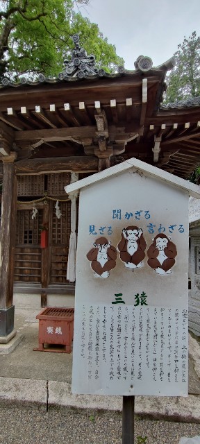 f:id:hitachibana:20220701020938j:image