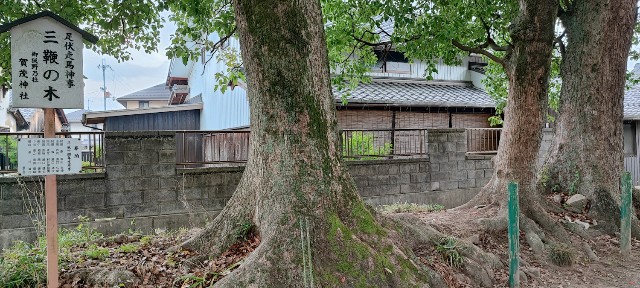 f:id:hitachibana:20220701021008j:image