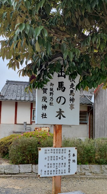f:id:hitachibana:20220701021028j:image