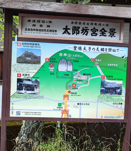 f:id:hitachibana:20220701021208j:image