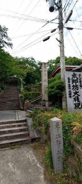 f:id:hitachibana:20220701021225j:image