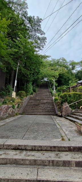 f:id:hitachibana:20220701021237j:image