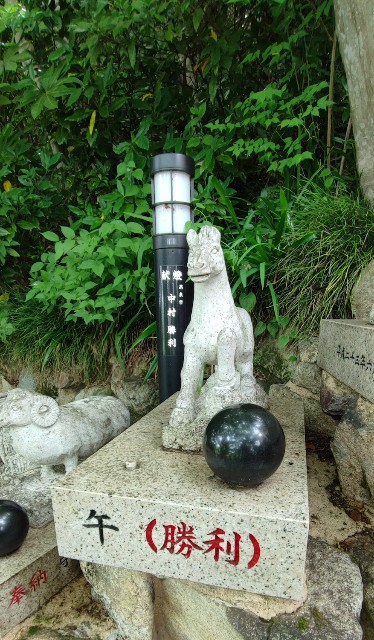f:id:hitachibana:20220701021511j:image