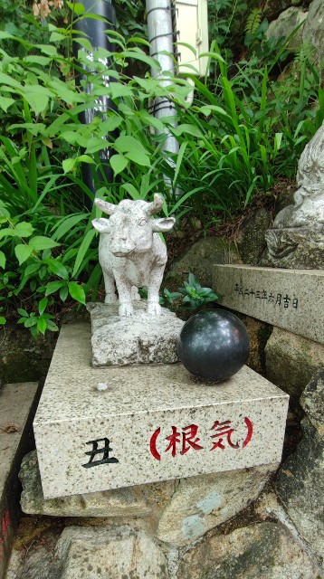 f:id:hitachibana:20220701021521j:image