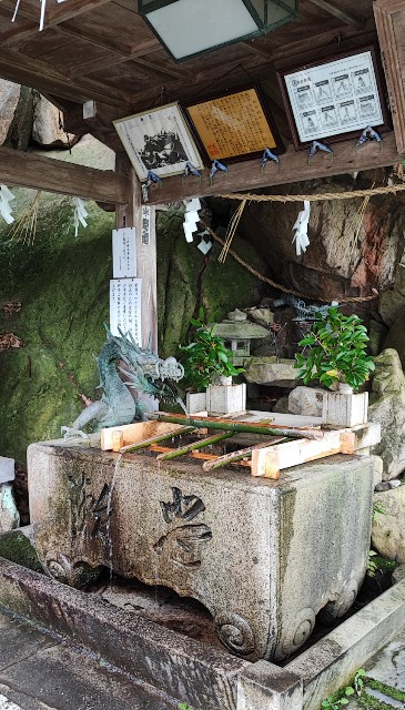 f:id:hitachibana:20220701021637j:image