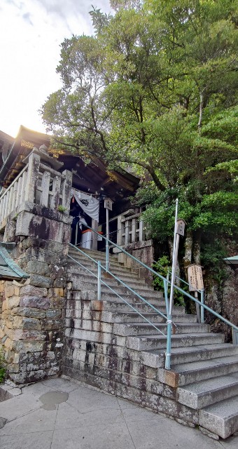 f:id:hitachibana:20220701021740j:image