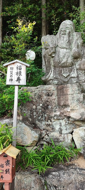 f:id:hitachibana:20220701021823j:image
