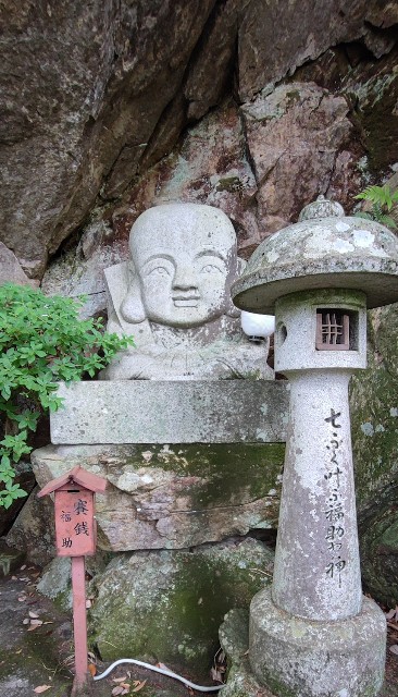 f:id:hitachibana:20220701021847j:image
