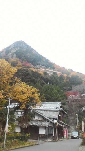 f:id:hitachibana:20220703223144j:image