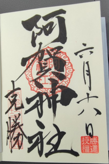 f:id:hitachibana:20220703230237j:image