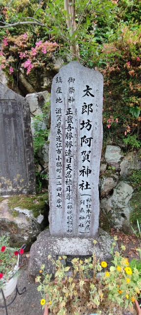 f:id:hitachibana:20220705003347j:image