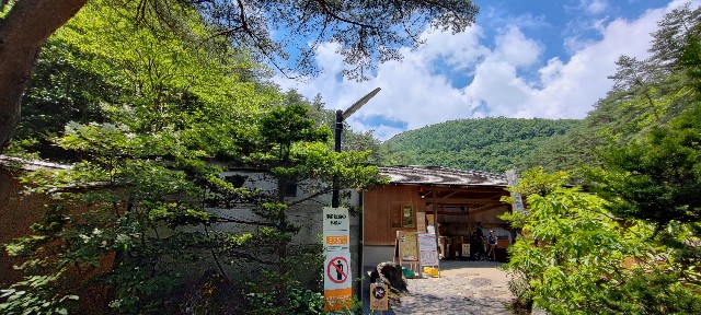 f:id:hitachibana:20220719195538j:image