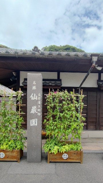 f:id:hitachibana:20220813212559j:image f:id:hitachibana:20220813212559j:image