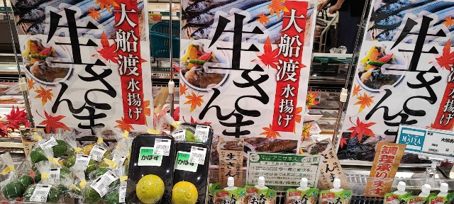 f:id:hitachibana:20221003003548j:image