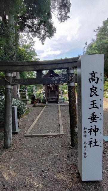 f:id:hitachibana:20221020084520j:image